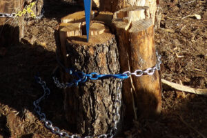 splitz all best wood splitter safe way split log firewood